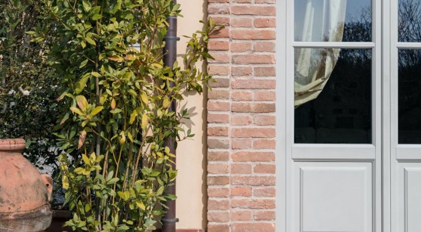 Photo of Il Limoneto