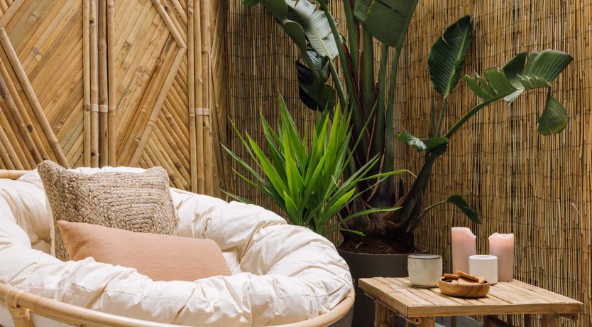 Photo of Hushed Twilight