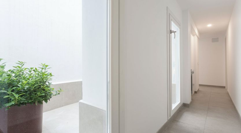 Photo of Wallpaper Dreams