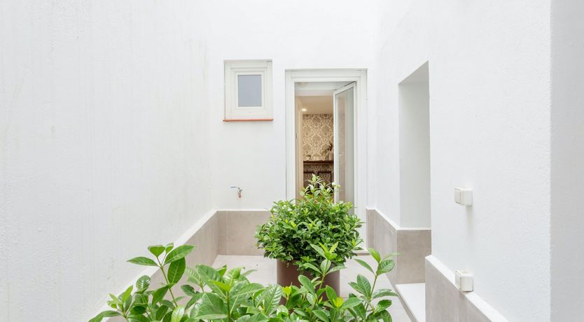 Photo of Wallpaper Dreams