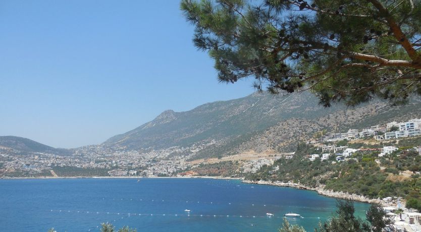 Photo of Sapphire Alpine