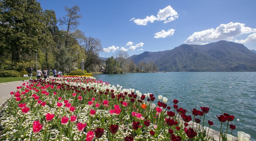 Photo of Garden in the City