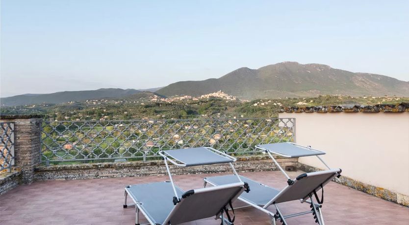 Photo of Five-hundred Olive Trees