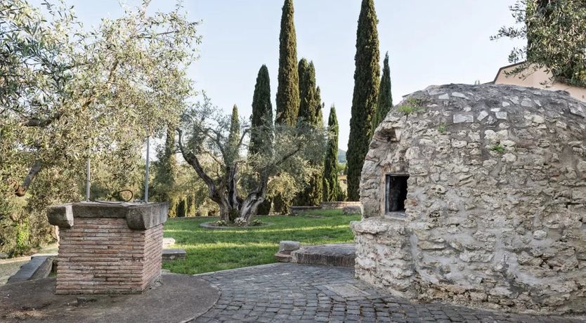 Photo of Five-hundred Olive Trees