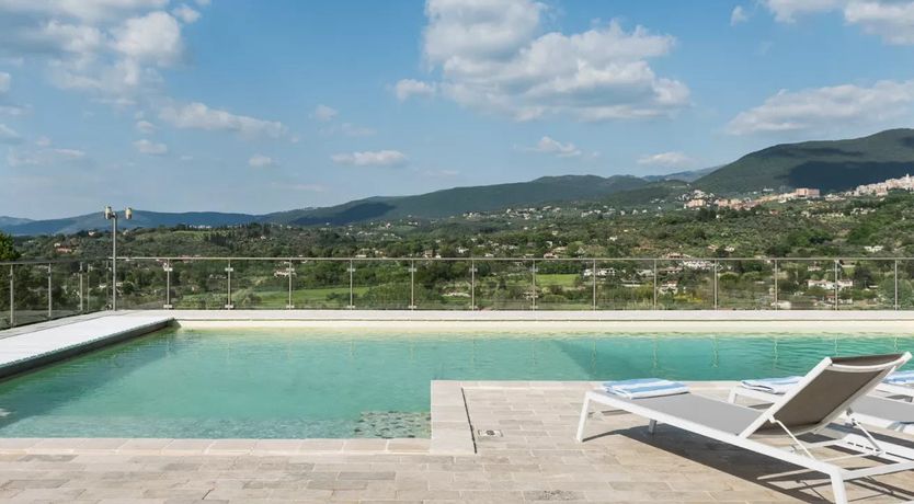 Photo of Five-hundred Olive Trees
