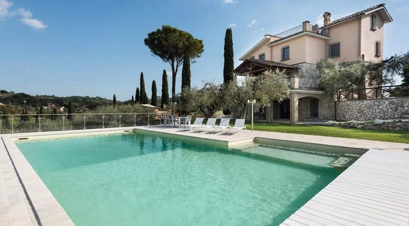 Photo of Five-hundred Olive Trees