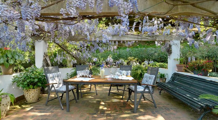 Photo of Whispers from the Past