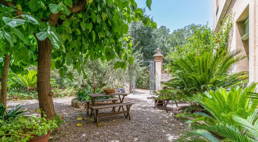 Photo of Whispers from the Past