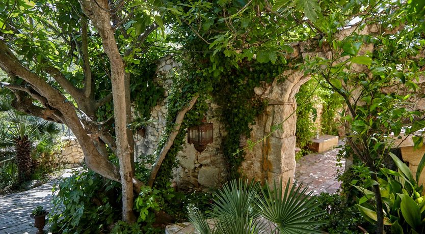 Photo of Peace & Harmony