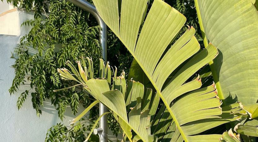Photo of Cocktails On The Roof