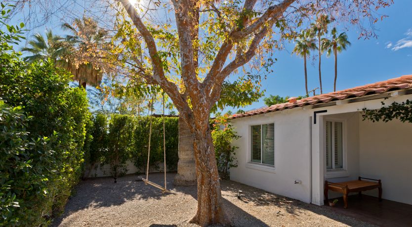 Photo of The Desert Flower