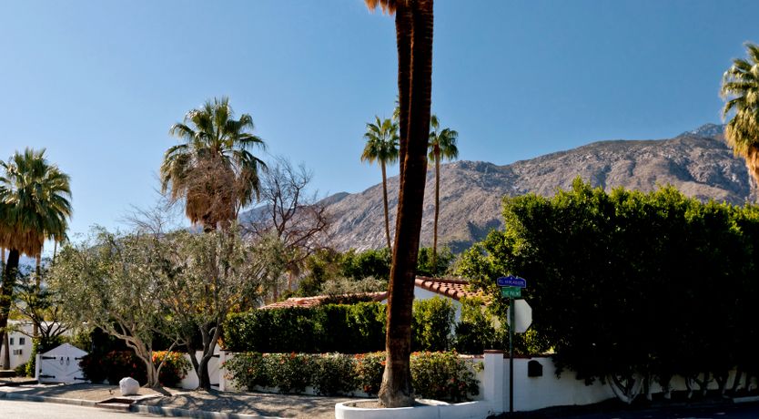 Photo of The Desert Flower