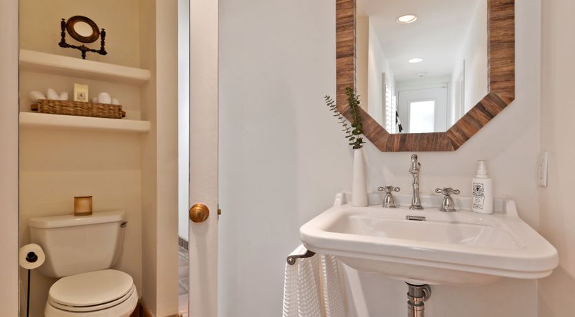 Photo of The Desert Flower