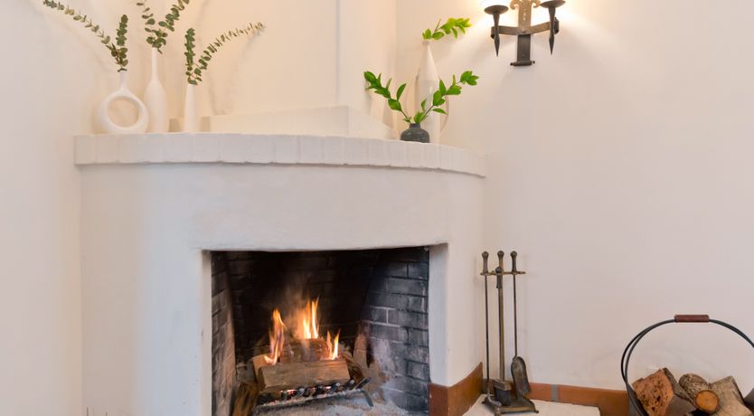 Photo of The Desert Flower