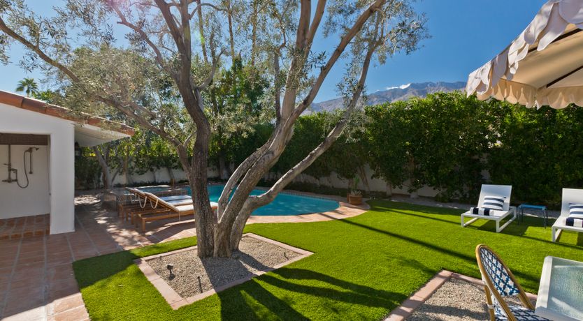 Photo of The Desert Flower