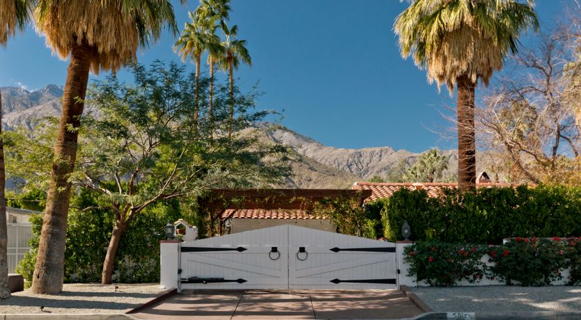 Photo of The Desert Flower