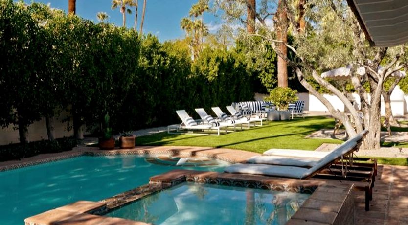 Photo of The Desert Flower