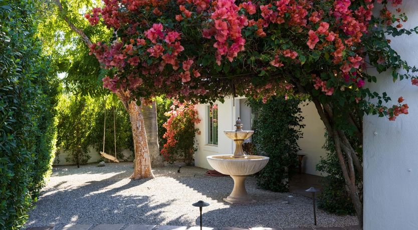 Photo of The Desert Flower