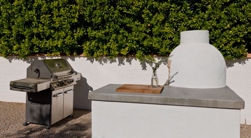 Photo of The Desert Flower