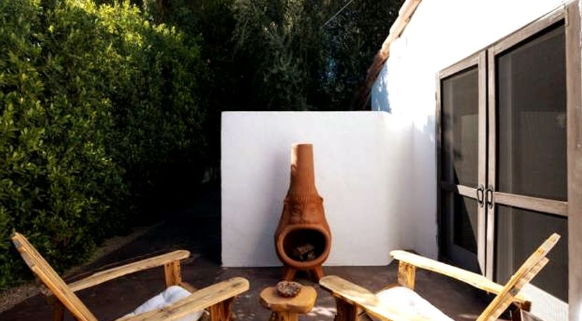 Photo of The Desert Flower