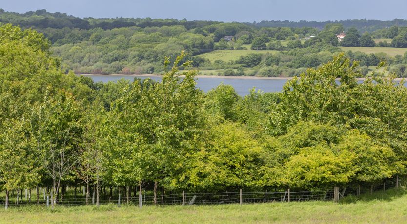 Photo of Soul of the Landscape
