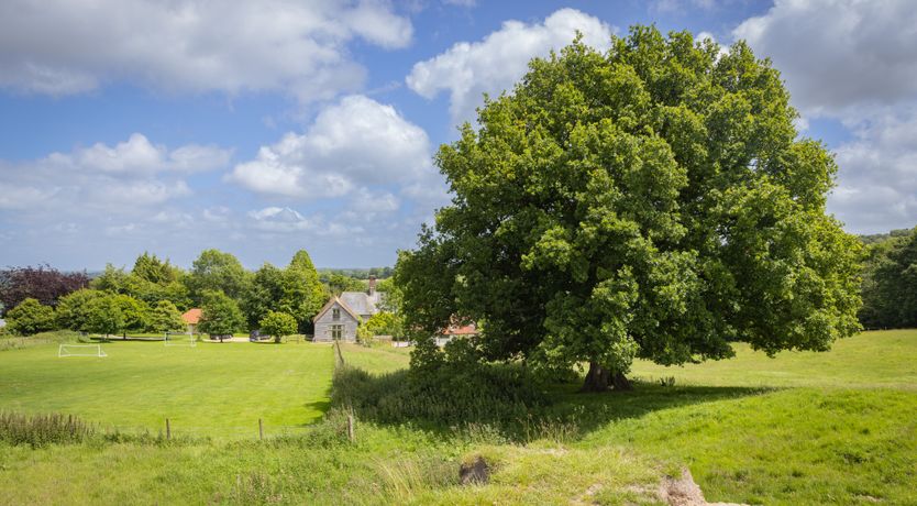 Photo of Soul of the Landscape