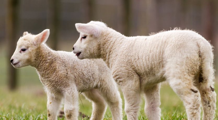Photo of Aylesbury Cottage