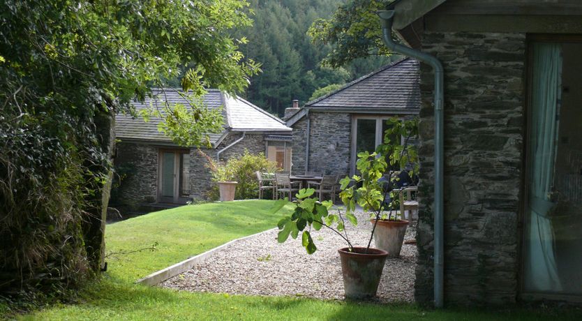 Photo of Grapes & Beams