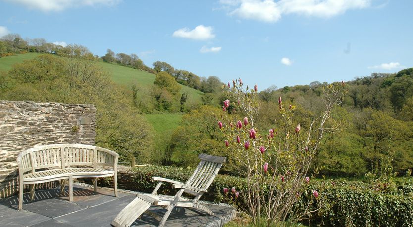 Photo of Grapes & Beams