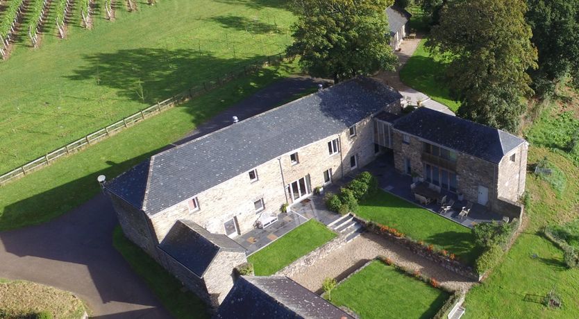 Photo of Grapes & Beams