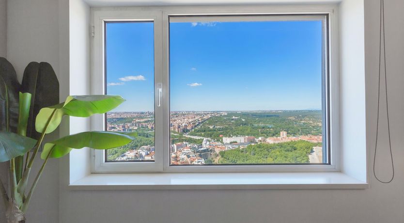 Photo of Dandelion Days