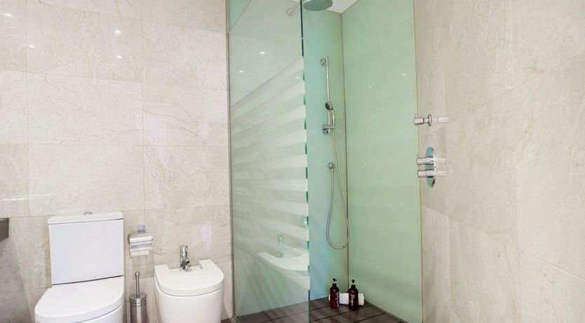 Photo of Dandelion Days