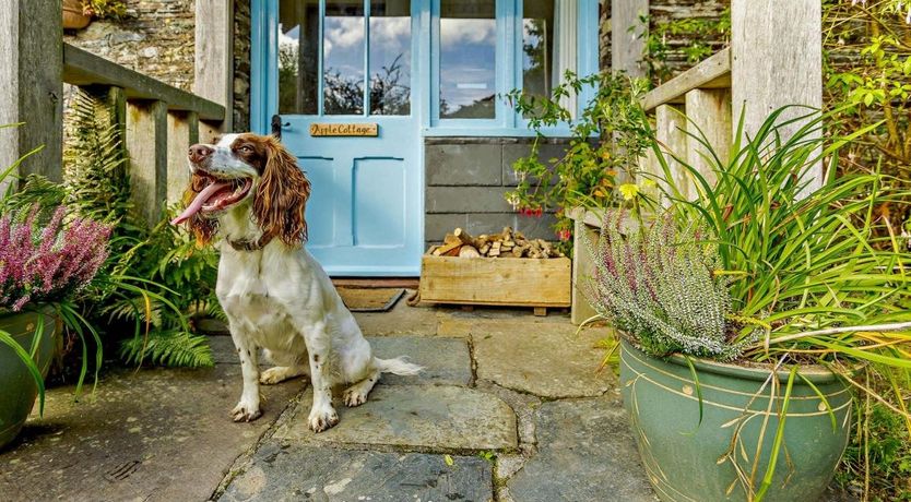 Photo of 3 Bed in Egloskerry