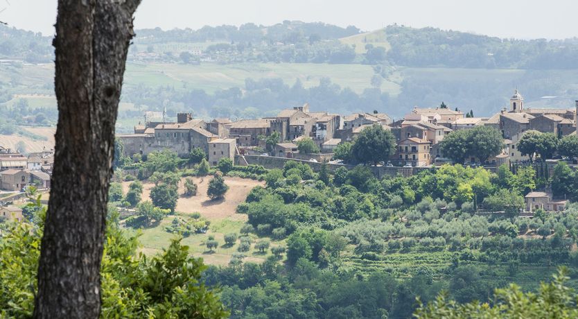 Photo of The Lavender Sky