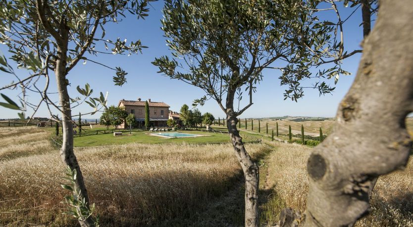 Photo of Landscape Artist