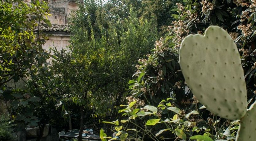 Photo of The Count of Modica