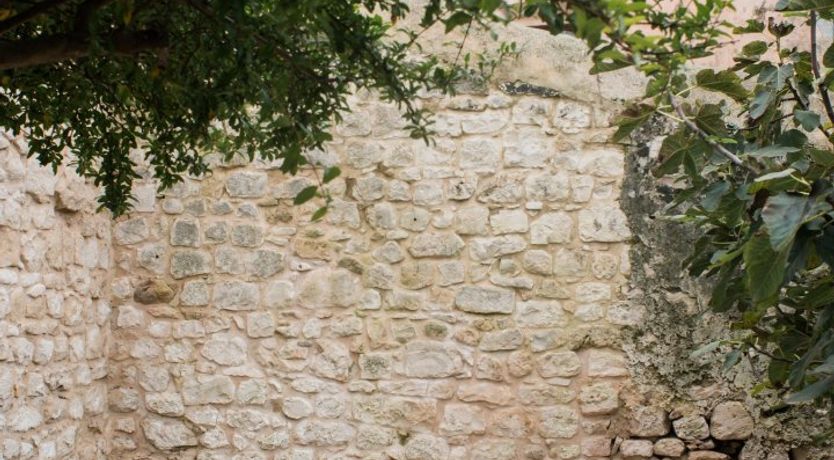 Photo of The Count of Modica