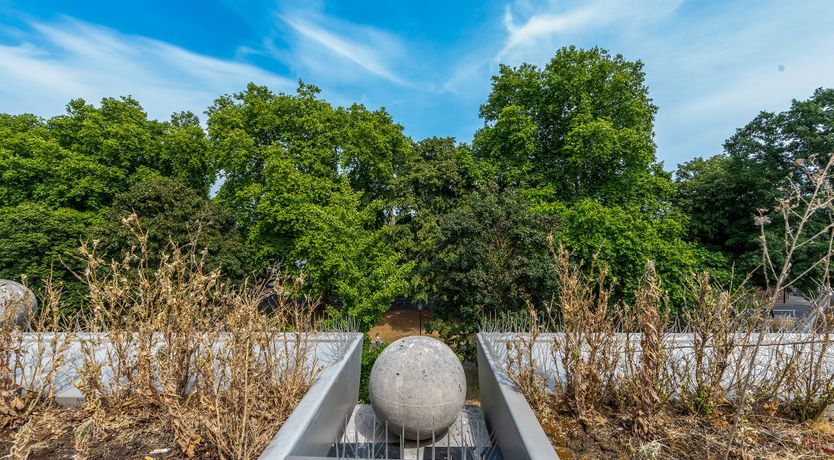 Photo of Walpole Wonder