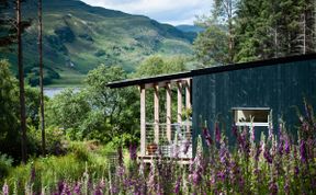 Photo of Pine Marten Cabin