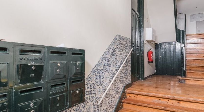 Photo of White Tropics