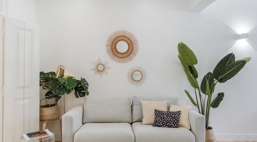 Photo of White Tropics