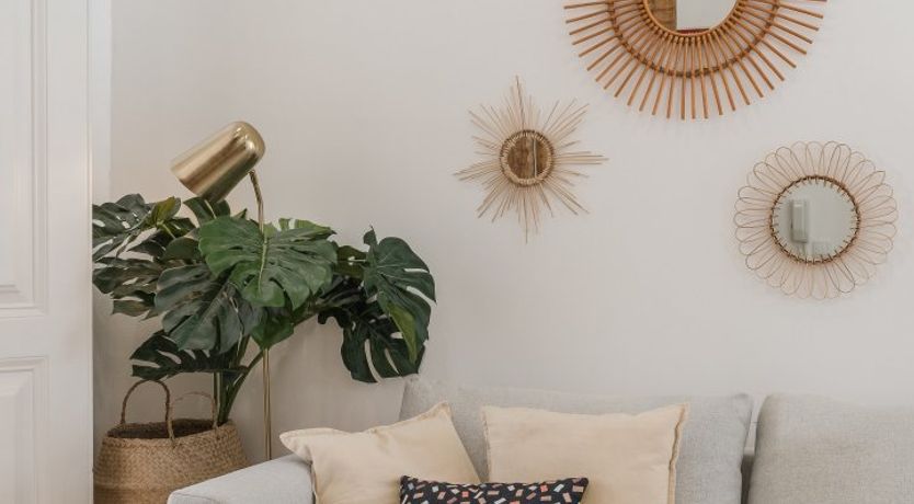 Photo of White Tropics