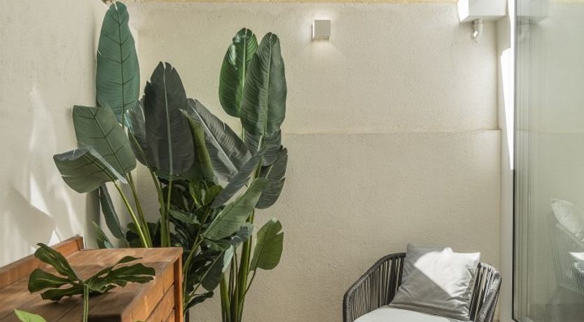 Photo of White Tropics