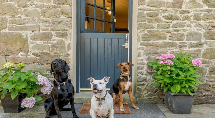 Photo of 1 Bed in Llandysul