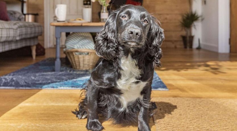 Photo of 1 Bed in Salwayash