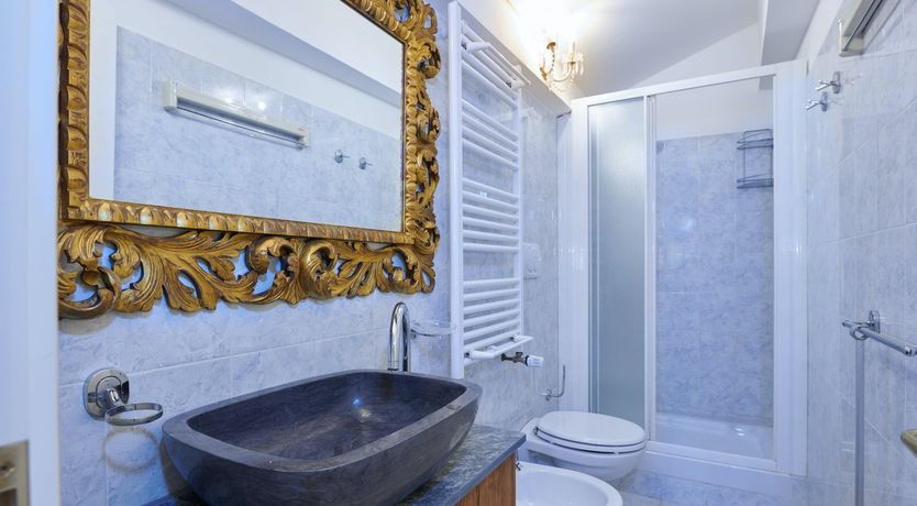 Photo of The Curator's Daydream