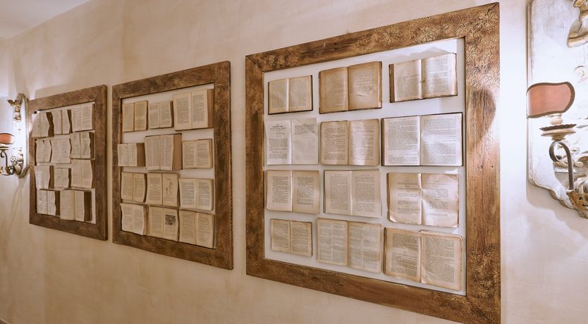 Photo of The Curator's Daydream