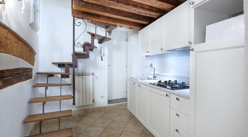 Photo of The Curator's Daydream