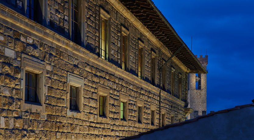 Photo of The Curator's Daydream