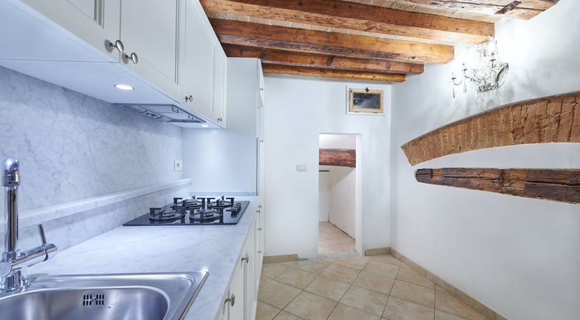 Photo of The Curator's Daydream